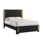 Olen B312