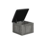 Reef T144
