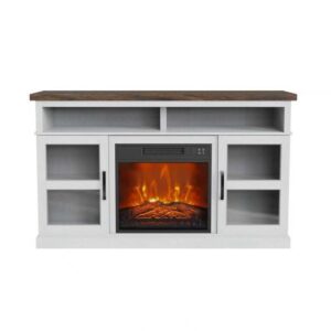 Castriel TV Stand W315